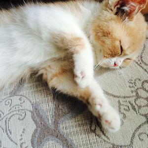 男生把小困困进女生困里电视剧
