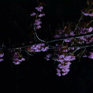 男生把小困困进女生困里电视剧
